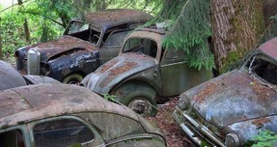 Gde se nalazi najpoznatije groblje klasičnih automobila?
